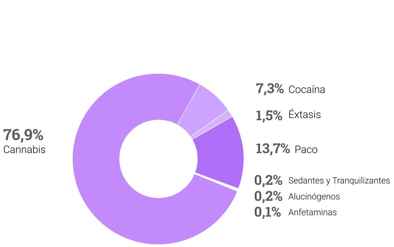 gráfico 5